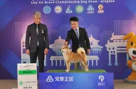 小萌宠大经济，机构预计中国宠物市场规模已突破2000亿元