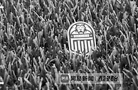 广州城的最后24小时