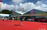 广西启动“汽车下乡”惠民活动 优惠让利促农村消费升级
