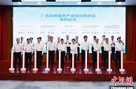 广西发力生物医药产业链招商工作 加快构建现代化产业体系