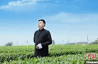 非公经济人士颜泽文：投身乡村振兴 助推“川茶兴千村”