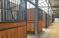 杭州亚运会桐庐马术中心即将“开门”迎赛