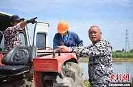 “80后”“新农民”的种田梦：数字赋能徜徉金黄之上
