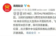 海南航空回应“客舱仓鼠乱窜”：旅客私自带上机