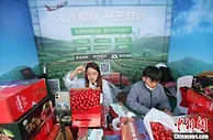 2022大连大樱桃采摘直播季启幕 预计产量破26万吨