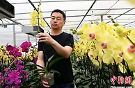 （台海观澜）福建漳州持续推动两岸农业融合发展