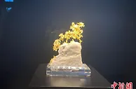 第十届矿博会郴州启幕 世界顶级矿物宝石演绎矿晶盛会