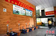 “共享茶厂”让600年老茶村焕发新魅力