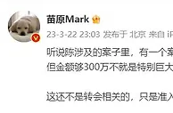媒体人：据说“陈”涉及的案子里，有一个案值5000万，贿赂两个人