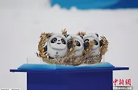 冬奥“种草”商品，上架的都卖空，没货的找义乌？