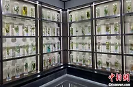 浙江丽水如何走向现代化？点绿成金起笔高质量发展