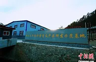 “小木耳大产业”：科技兴业为柞水民众筑起致富路