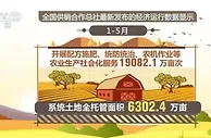 前五个月农产品销售额达9918.5亿元 同比增长27.7%