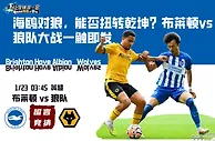 海鸥对狼，能否扭转乾坤？布莱顿vs狼队大战一触即发