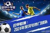 巴甲联赛：2024年现况与热门球队