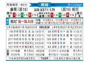 [英冠] 卢顿vs伯恩利