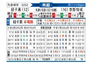 [英超] 纽卡斯尔联vs莱斯特城