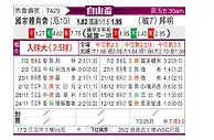 [自由杯] 国家报队vs布鲁明