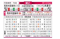 [荷乙] 马斯特里赫特vsFC埃因霍温