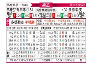 [荷乙] 埃因霍温青年队vs多德勒支