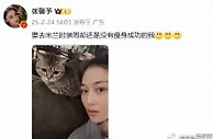 性感女神张馨予没瘦身成功！回复粉丝：走一丰韵路线好了