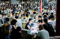 中越边境惊现"赌石"骗局，跨境直播诈骗团伙被捣毁