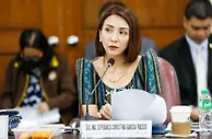 重大利好！菲律宾拟恢复对华电子签，力图重振旅游市场