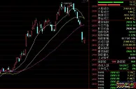 A股震荡走低沪指跌逾1% 猪肉概念股批量跌停