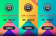 亚特兰大 VS 博洛尼亚 4月05日 03:00 意甲 老伟德IM体育