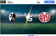2024 年 11 月 3 日弗赖堡 vs 美因茨预测和投注技巧