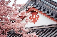 【e世博】e妹带玩-春意满怀，樱花美景、电子百万奖金送给你