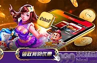 E世博棋虎砸亿元 新会吸金30天