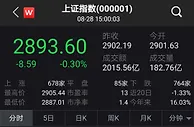 A股窄幅震荡沪指失守2900点：消费股活跃 保险股回调