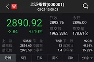A股维持震荡三大指数微跌 沪指上攻2900点未果