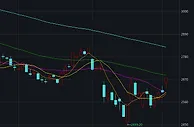 沪指大涨2.70%连涨四日！创业板指暴涨近5%