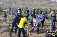 中国首支林业生态地方政府专项债券发行金额1亿元