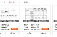 部分乐视股权明起拍卖:总价逾7亿 首位报名者出现