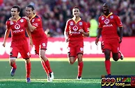 澳洲甲北京单场推荐：阿德莱德联 VS 悉尼FC