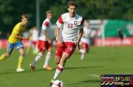 欧U21: 瑞典U21誓灭波兰U21