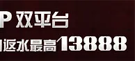 申博138【GD+CP】双平台0.8%周周返水 