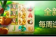 888真人---全新游戏 猴子先生 每周送你33次免费旋转！