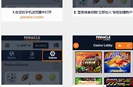 介绍下如何在手机上玩平博的娱乐场游戏