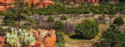 Arizona's sports betting revenue in September fell to a three-year low, while betting amounts increased by 16.3%.